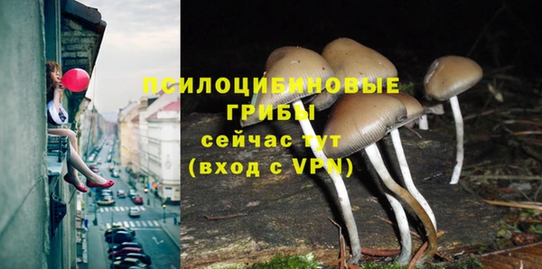 a pvp Вяземский