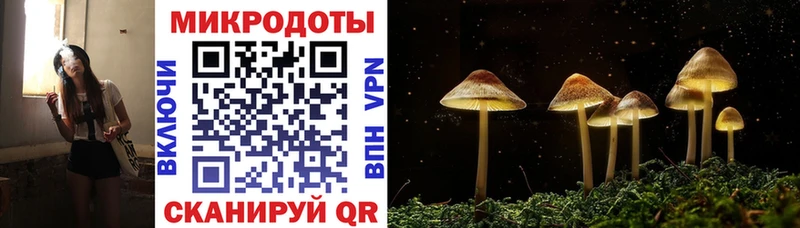 ОМГ ОМГ tor  Петров Вал  Галлюциногенные грибы Cubensis 